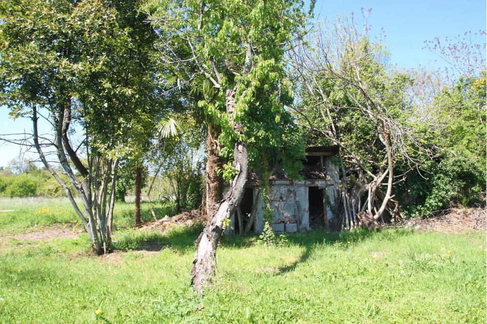 Rustico