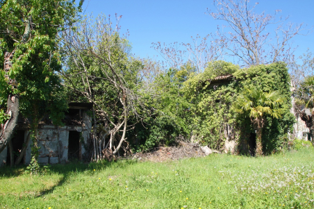 Rustico