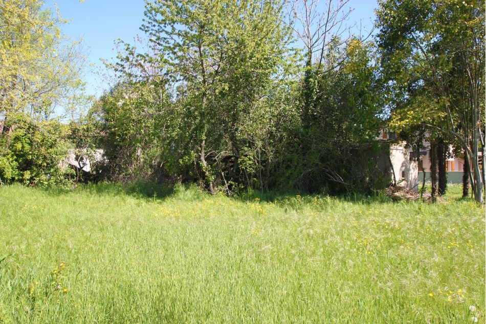 Rustico