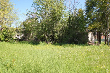 Rustico