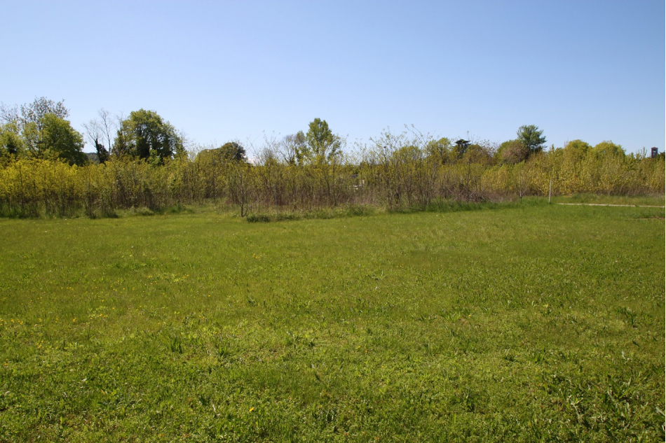 Rustico