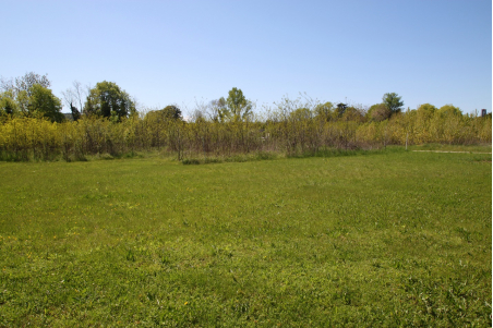Rustico